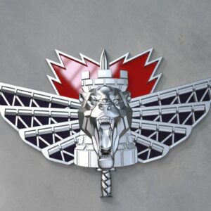 סיכת לוחם הנדסה