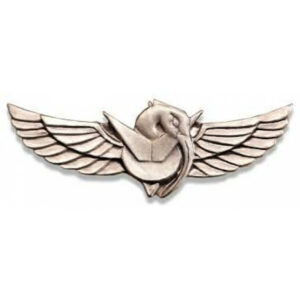 סיכת לוחם מגלן