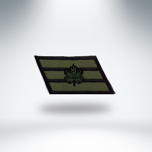 דרגות טקטיות סקוץ